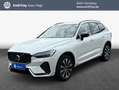 Volvo XC60 XC60 B5 B AWD Plus Dark Weiß - thumbnail 1