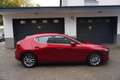 Mazda 3 SKYACTIV-G 2.0 M-Hybrid KLIMA+NAVI+ALU+Head-Up+PDC Rot - thumbnail 2