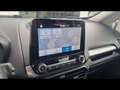 Ford EcoSport Trend 1.0 ecoboost 99ch Gris - thumbnail 18