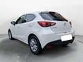 Mazda 2 1.5 90 CV Skyactiv-G Evolve Bianco - thumbnail 5