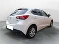 Mazda 2 1.5 90 CV Skyactiv-G Evolve Bianco - thumbnail 6