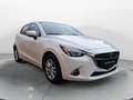 Mazda 2 1.5 90 CV Skyactiv-G Evolve Bianco - thumbnail 2