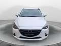 Mazda 2 1.5 90 CV Skyactiv-G Evolve Bianco - thumbnail 1