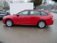 Skoda Octavia Combi Selection 2.0 TDI DSG Selection*LED*PDC*S... Rot - thumbnail 10