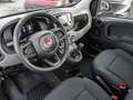 Fiat Panda Mild Hybrid City Paket  Cinema Schwarz Schwarz - thumbnail 3