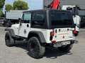 Jeep Wrangler 4.0 cat Hard top (EU) Bianco - thumbnail 6