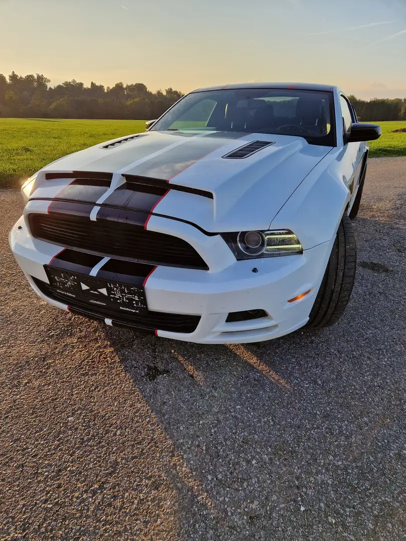 Ford Mustang Coupé - 1