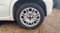 Fiat Panda III 0.9 TwinAir 85 BVA5 Lounge - Automatique Blanc - thumbnail 19