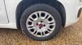 Fiat Panda III 0.9 TwinAir 85 BVA5 Lounge - Automatique Blanc - thumbnail 17