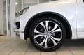 Volkswagen Touareg V6 TDI  Executive Edition Luft AHK STHZ Weiß - thumbnail 3