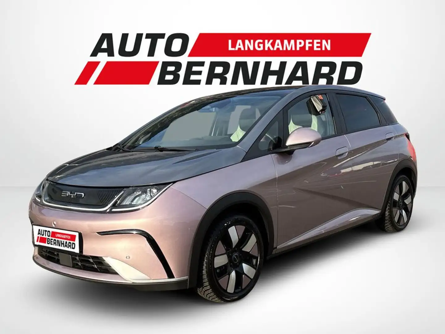 BYD Dolphin 60,4 KWh Design Österreich Paket Grau - 1