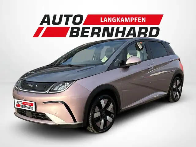 BYD Dolphin 60,4 KWh Design Österreich Paket