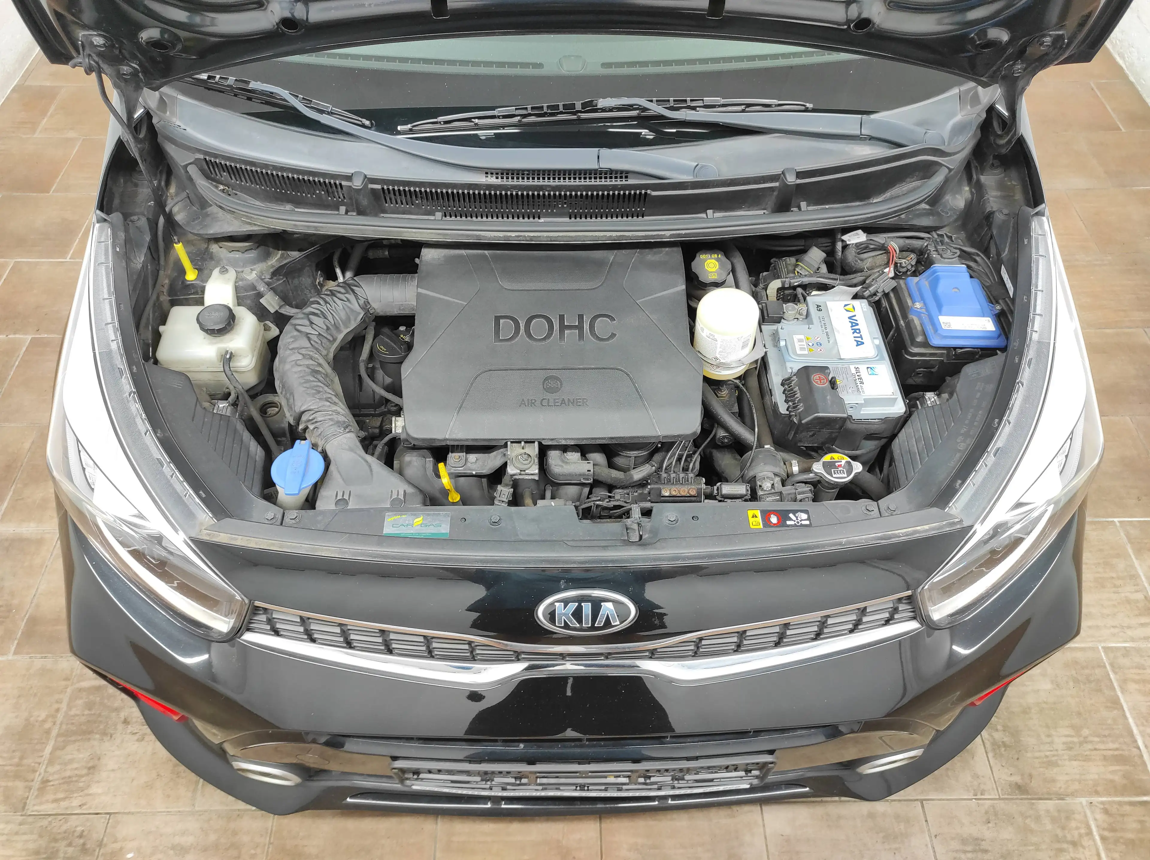 Kia Picanto GT-LINE EURO-6 LPG-GASANLAGE LED KLIMA NAVI SHZ BC KAMERA LEDER — photo 15