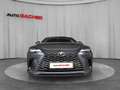 Lexus RX 450h Business Line Plug-In Hybrid 309 PS Allrad Grau - thumbnail 2