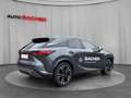 Lexus RX 450h Business Line Plug-In Hybrid 309 PS Allrad Grau - thumbnail 7