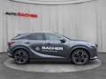 Lexus RX 450h Business Line Plug-In Hybrid 309 PS Allrad Grau - thumbnail 5
