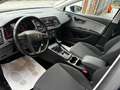 SEAT Leon 1.6 TDI 115 CV ST Business Blu/Azzurro - thumbnail 12