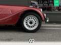 Morgan Plus 8 P.i. . Rot - thumbnail 28