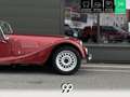 Morgan Plus 8 P.i. . Rot - thumbnail 26