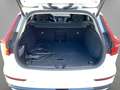 Volvo V60 T6 AWD Recharge Plus Dark ACC H&K LED STDHZ Wit - thumbnail 19