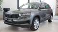 Skoda Karoq Karoq 2.0 TDI SCR DSG Executive NUOVA DA IMMATRIC Grijs - thumbnail 1