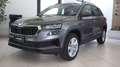 Skoda Karoq Karoq 2.0 TDI SCR DSG Executive NUOVA DA IMMATRIC Grijs - thumbnail 2