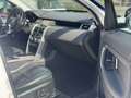 Land Rover Discovery Sport 2.0TD4 HSE 4x4 Aut. 150 - thumbnail 12