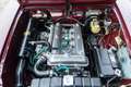 Alfa Romeo Giulia 1600 Super Biscione TOP QUALITY EXAMPLE! "Rosso Am Paars - thumbnail 5