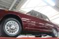 Alfa Romeo Giulia 1600 Super Biscione TOP QUALITY EXAMPLE! "Rosso Am Paars - thumbnail 12