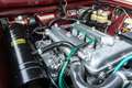 Alfa Romeo Giulia 1600 Super Biscione TOP QUALITY EXAMPLE! "Rosso Am Paars - thumbnail 34