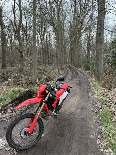 Honda CRF 300 L - foto 6