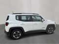Jeep Renegade 1.6 mjt Longitude fwd 120cv Bianco - thumbnail 3