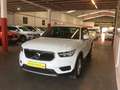 Volvo XC40 D3 Business Plus Blanc - thumbnail 3