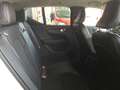 Volvo XC40 D3 Business Plus Blanc - thumbnail 11