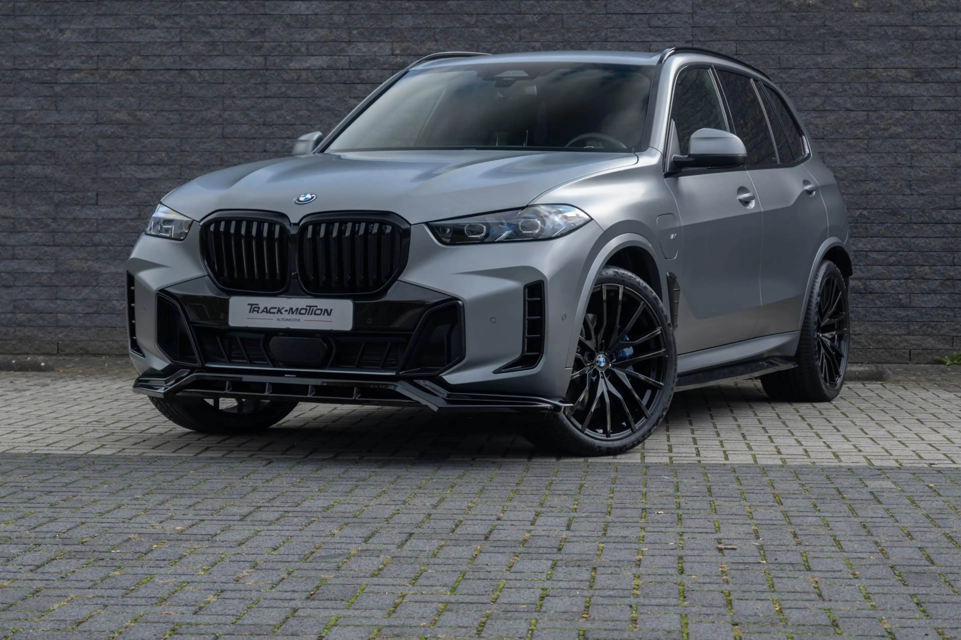 BMW X5 XDrive50e Frozen Pure Grey — photo 3