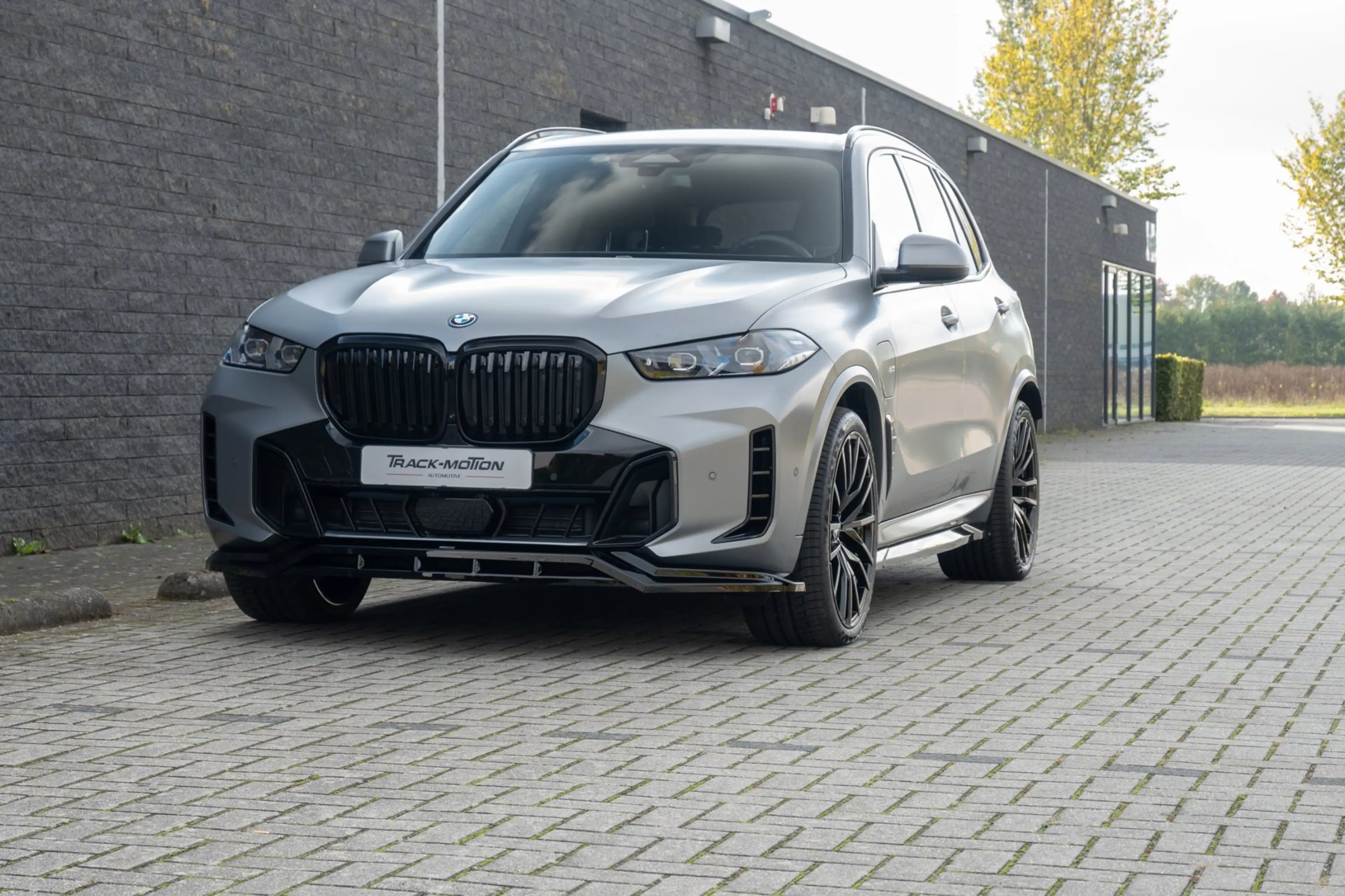 BMW X5 XDrive50e Frozen Pure Grey — photo 16