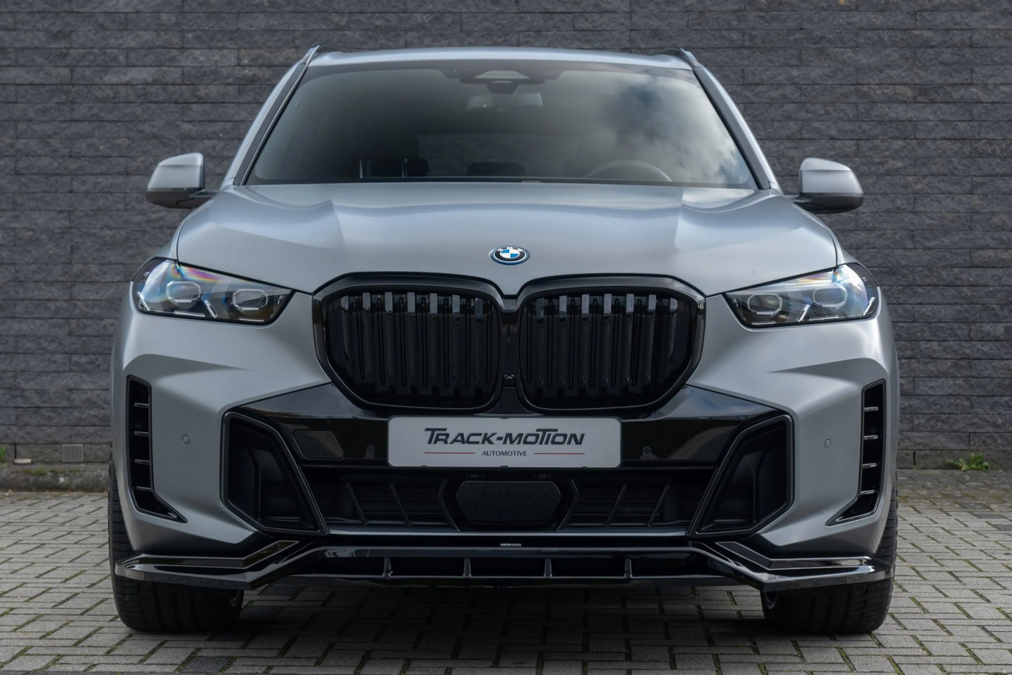 BMW X5 XDrive50e Frozen Pure Grey — photo 4