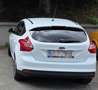 Ford Focus 1,0 EcoBoost Trend - thumbnail 7