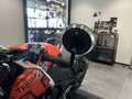Triumph Trident 660 Orange - thumbnail 7