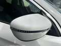 Nissan Qashqai Qashqai 1.6 dci Acenta 2wd 130cv xtronic Bianco - thumbnail 7