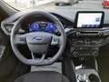 Ford Kuga 2.5 Duratec FHEV ST-Line X AWD Aut. Blu/Azzurro - thumbnail 13