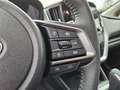 Subaru Crosstrek 2.0i Premium Demo Grau - thumbnail 13