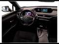 Lexus UX 250h Premium 2wd cvt my20 Grijs - thumbnail 26