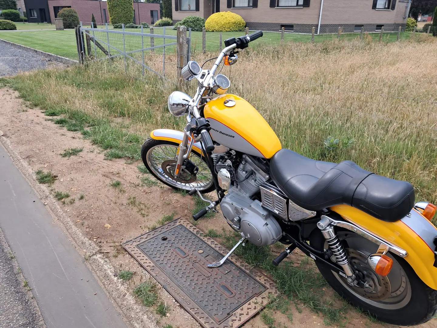 Harley-Davidson Sportster XL Custom Jaune - 2