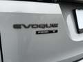 Land Rover Range Rover Evoque Rover Evoque S Gris - thumbnail 18