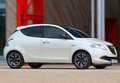 Lancia Ypsilon III 2015 0.9 t.air Gold ecochic metano 80cv Beige - thumbnail 48