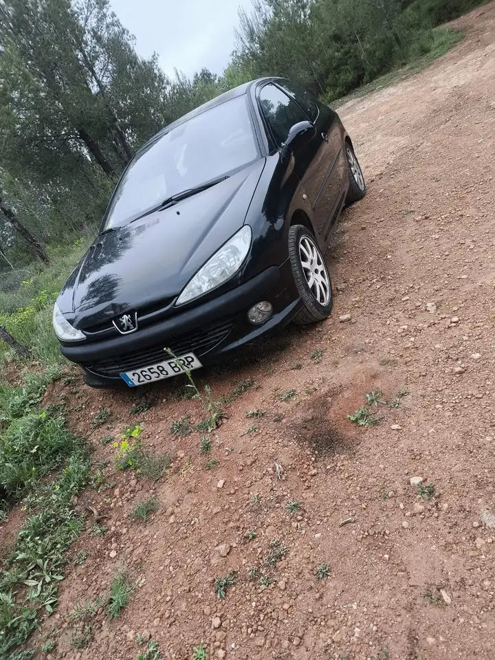 Peugeot 206 2.0 GTI, foto 5