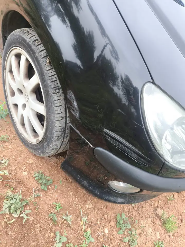 Peugeot 206 2.0 GTI, foto 8