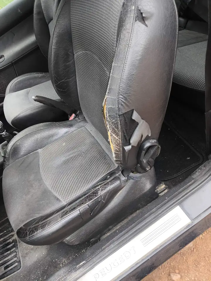 Peugeot 206 2.0 GTI, foto 11