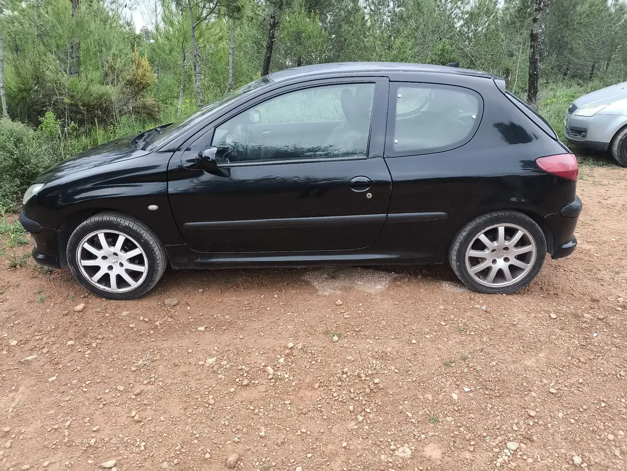 Peugeot 206 2.0 GTI, foto 4